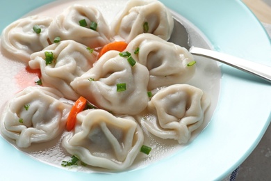 Photo of Broth with tasty dumplings in plate, closeup