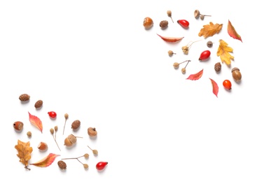 Photo of Beautiful composition with autumn leaves on white background, flat lay. Space for text