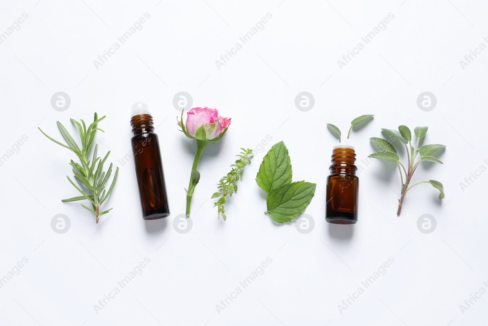 Photo of Bottles of essential oils, different herbs and rose flower on white background, flat lay