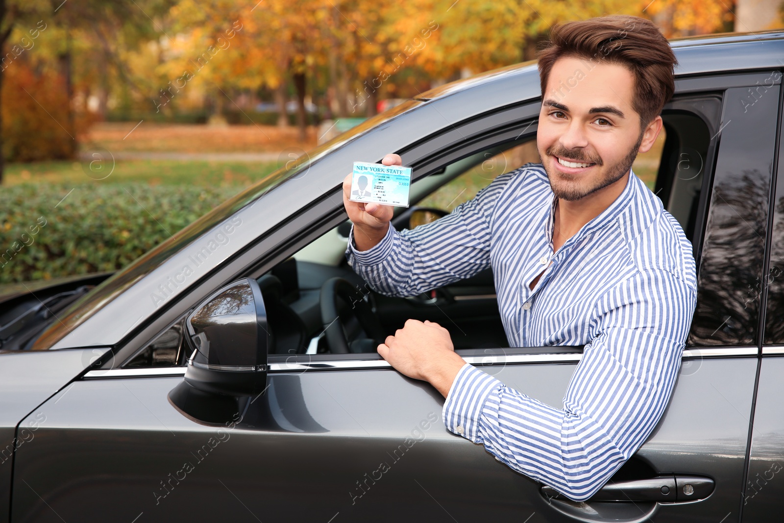 Photo of Young man holding driving license in car