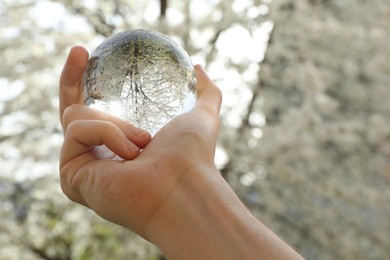 Photo of Beautiful tree with white blossoms outdoors, overturned reflection. Man holding crystal ball in spring garden, closeup. Space for text