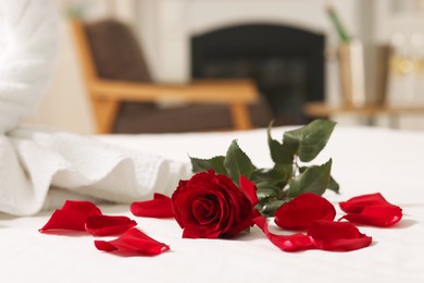 Photo of Honeymoon. Beautiful rose flower and petals on bed in room, closeup