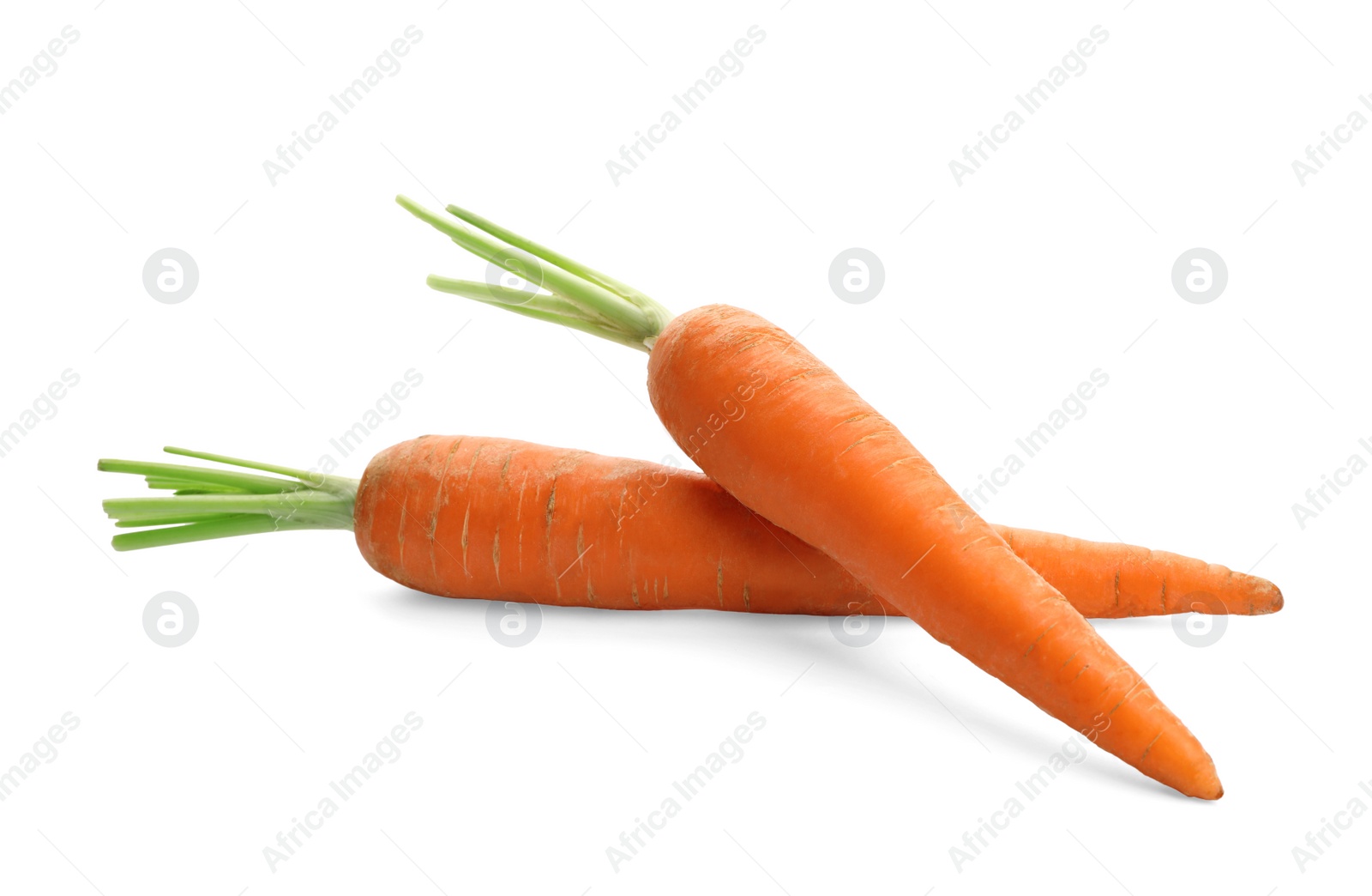 Photo of Fresh ripe carrots on white background. Wholesome vegetable