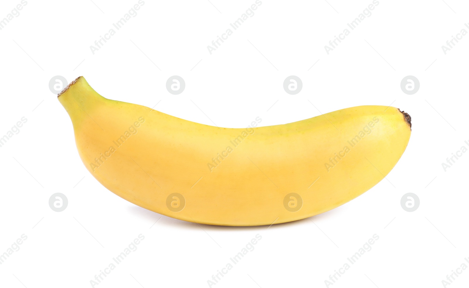 Photo of One sweet ripe baby banana isolated on white