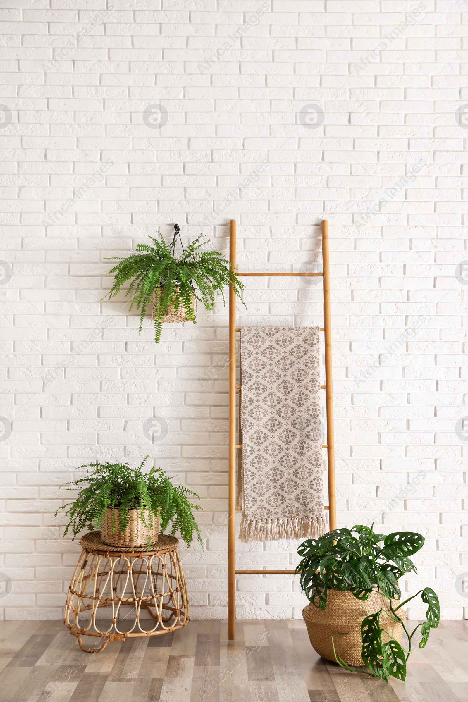 Photo of Beautiful green potted plants in stylish room interior