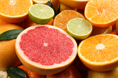 Tangerines, oranges, lime and grapefruit as background