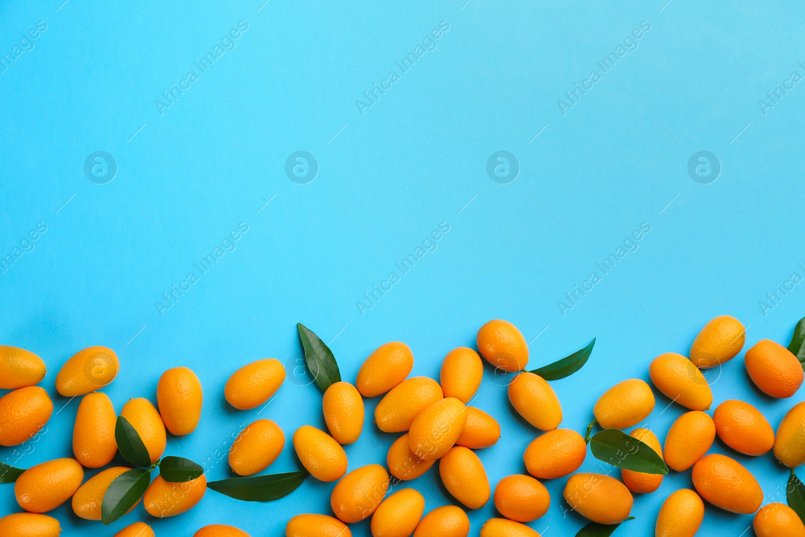 Photo of Fresh ripe kumquats with green leaves on light blue background, flat lay. Space for text