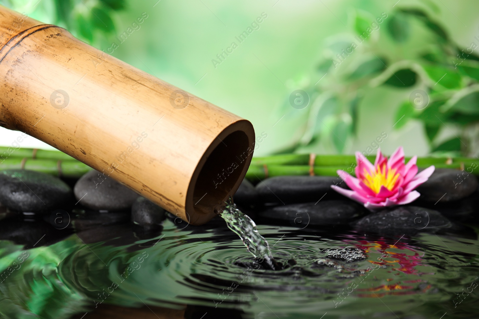 Photo of Zen garden with bamboo fountain against blurred green background