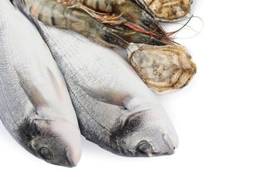 Photo of Fresh dorado fish, oysters and shrimps on white background, top view