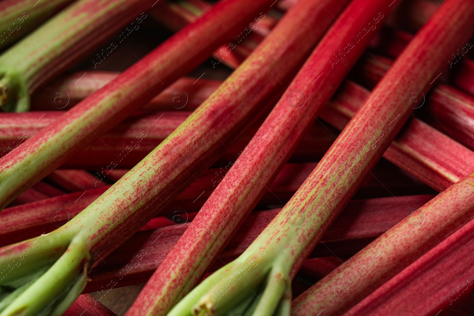 Photo of Fresh ripe rhubarb stalks as background, closeup