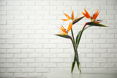Photo of Bird of Paradise tropical flowers near white brick wall, space for text