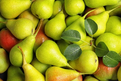 Fresh ripe pears with leaves as background, top view