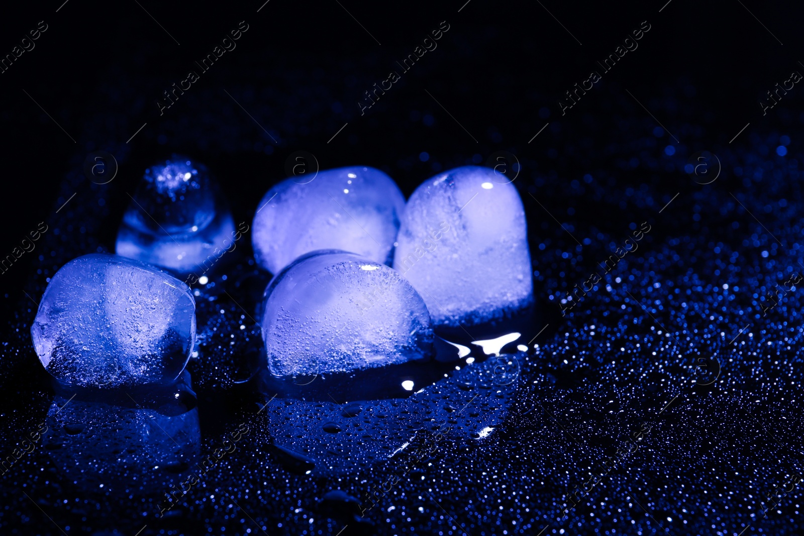 Photo of Melting ice cubes on black background. Space for text