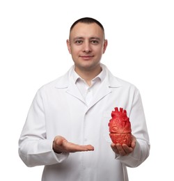 Photo of Doctor holding model of heart on white background. Cardiology concept