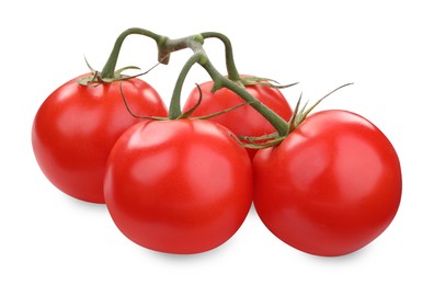 Photo of Branch of red ripe tomatoes isolated on white