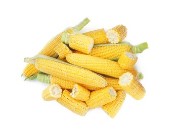 Photo of Fresh corncobs with husks on white background, top view