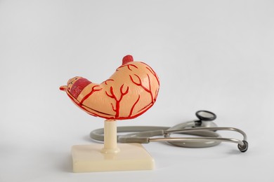 Photo of Human stomach model and stethoscope on light grey background