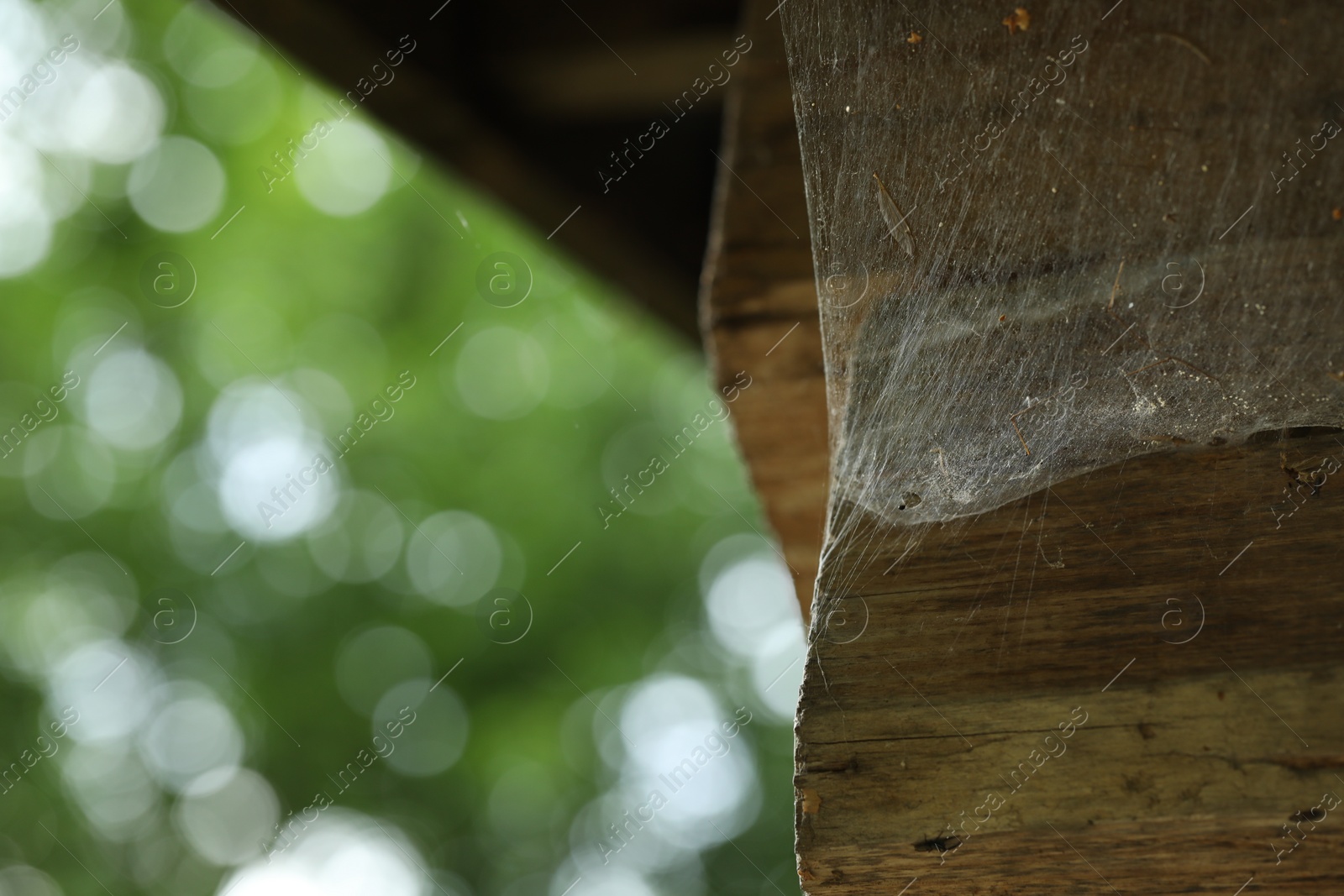 Photo of Cobweb on wooden building outdoors, closeup. Space for text