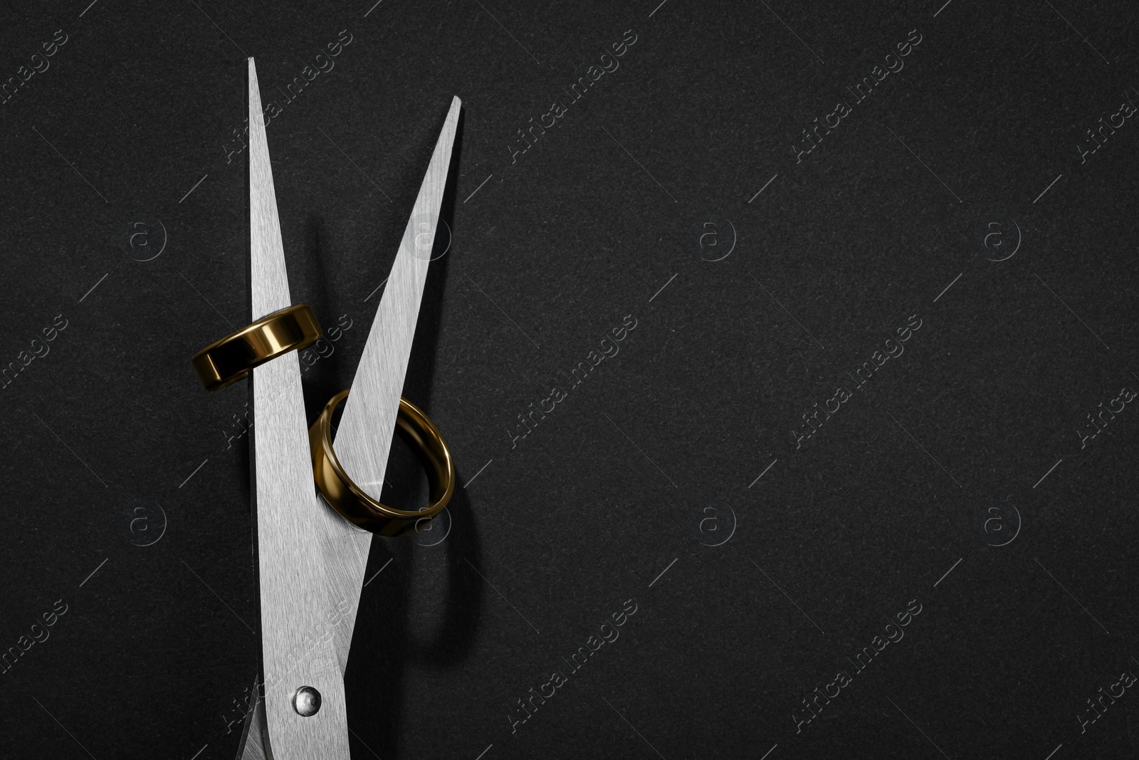 Photo of Divorce concept. Scissors with wedding rings on blades against black background, top view. Space for text
