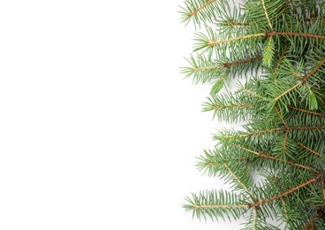 Photo of Branches of Christmas tree on white background