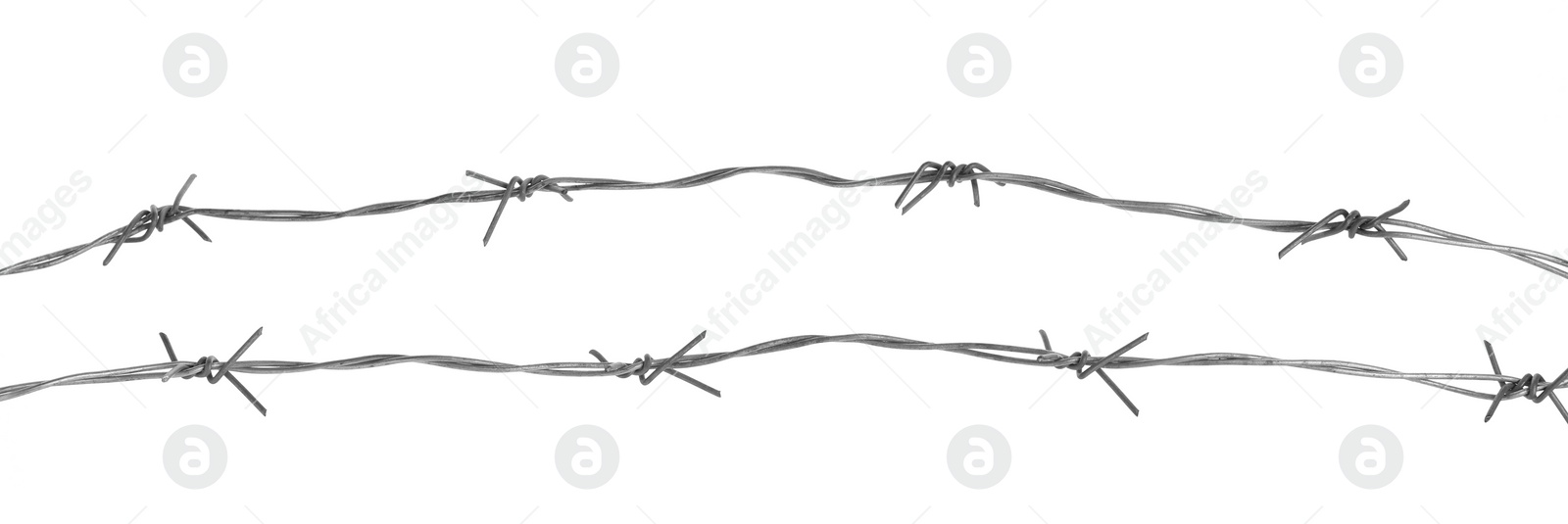 Photo of Shiny metal barbed wire isolated on white