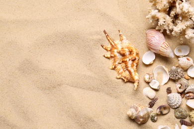 Photo of Beautiful seashells, coral and starfishes on beach sand, flat lay with space for text. Summer vacation