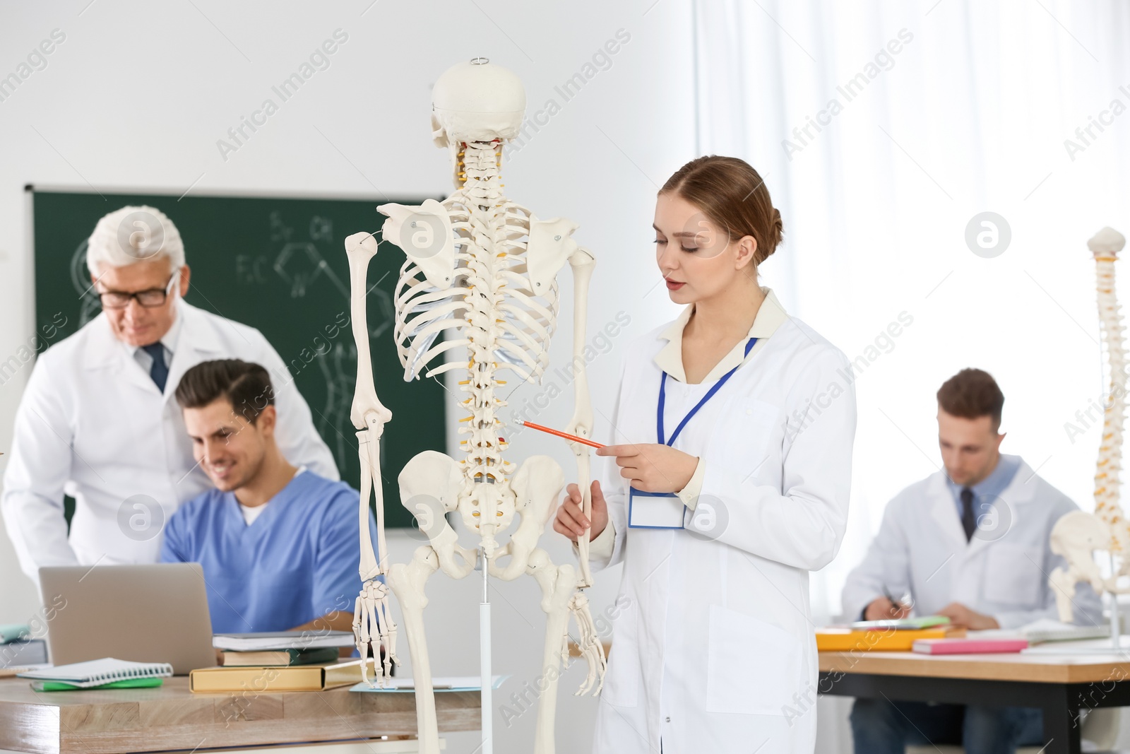 Photo of Medical students and professor studying human skeleton anatomy in classroom