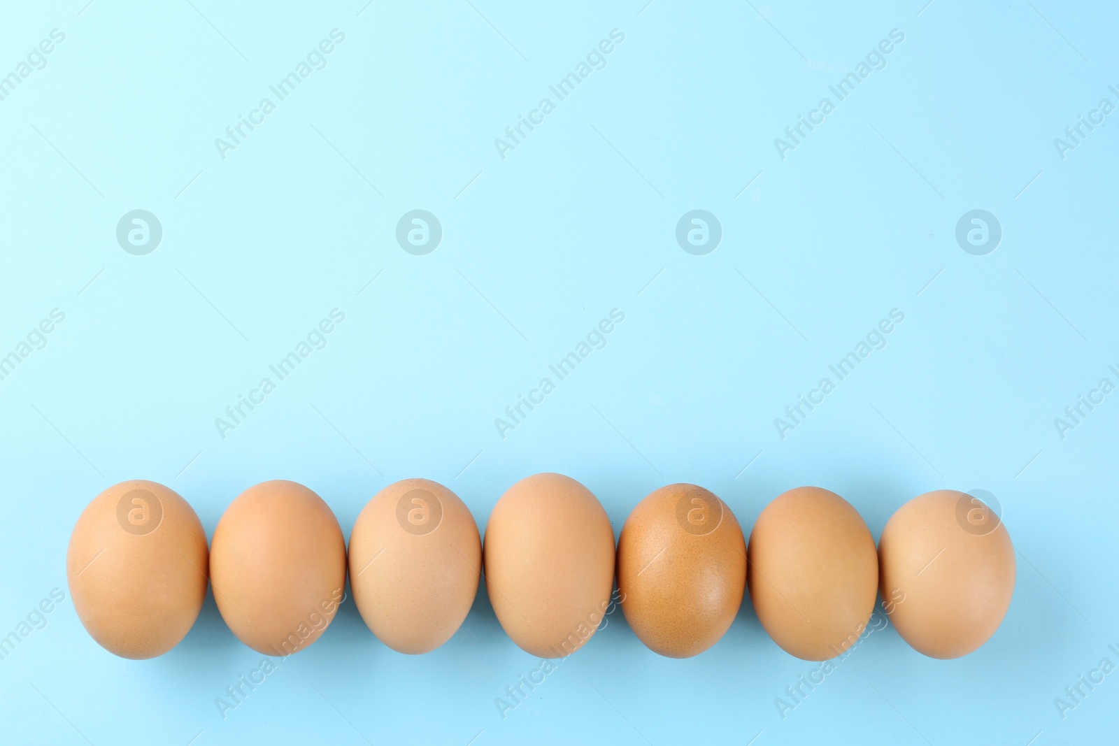 Photo of Raw chicken eggs on light blue background, flat lay. Space for text