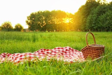 Photo of Picnic blanket and basket on grass in park