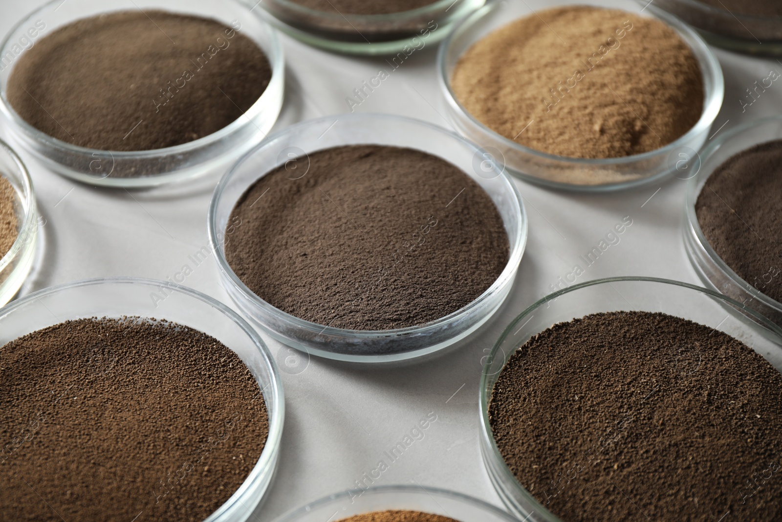 Photo of Petri dishes with soil samples on grey table. Laboratory research