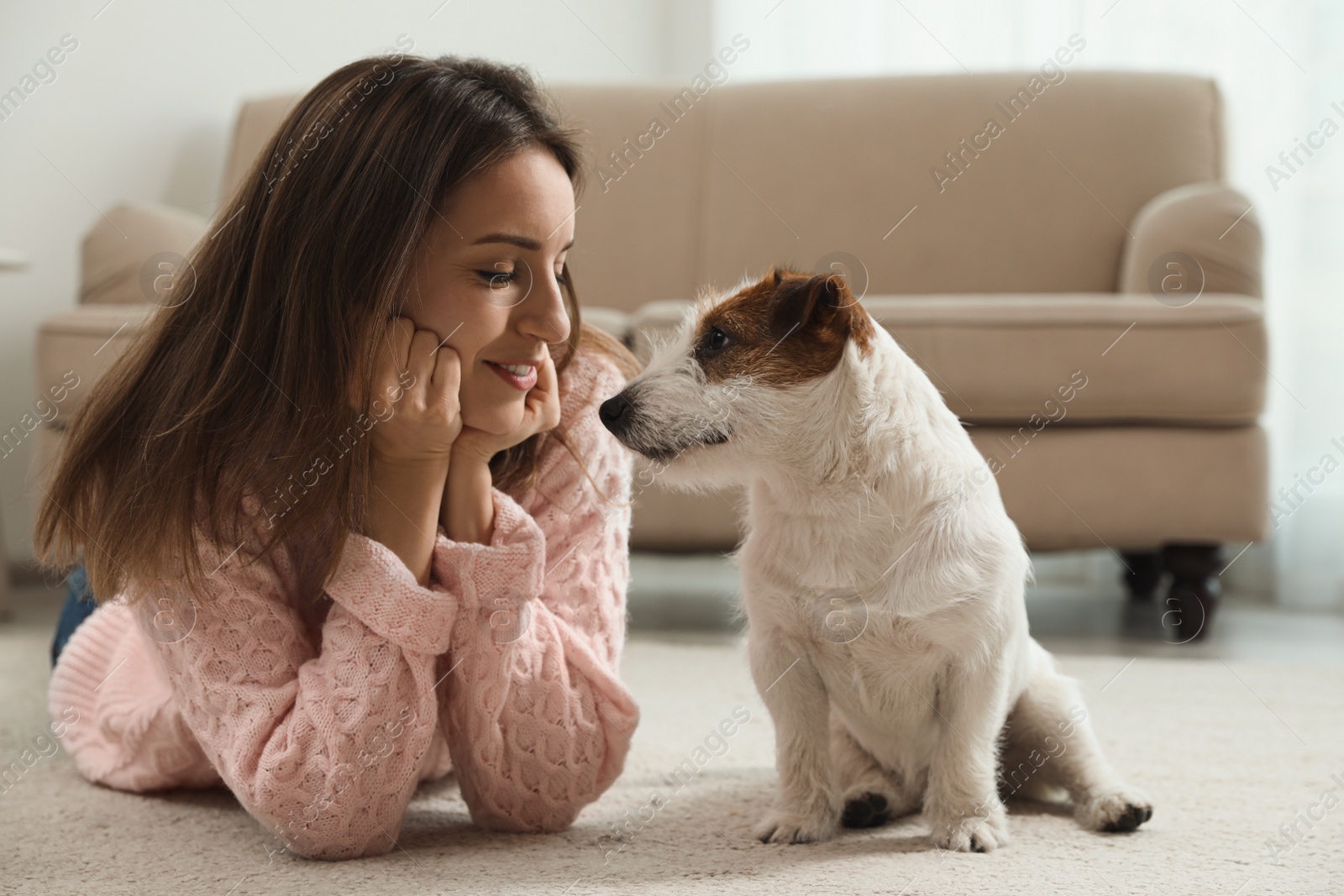 Photo of Young woman with her cute Jack Russell Terrier at home. Lovely pet