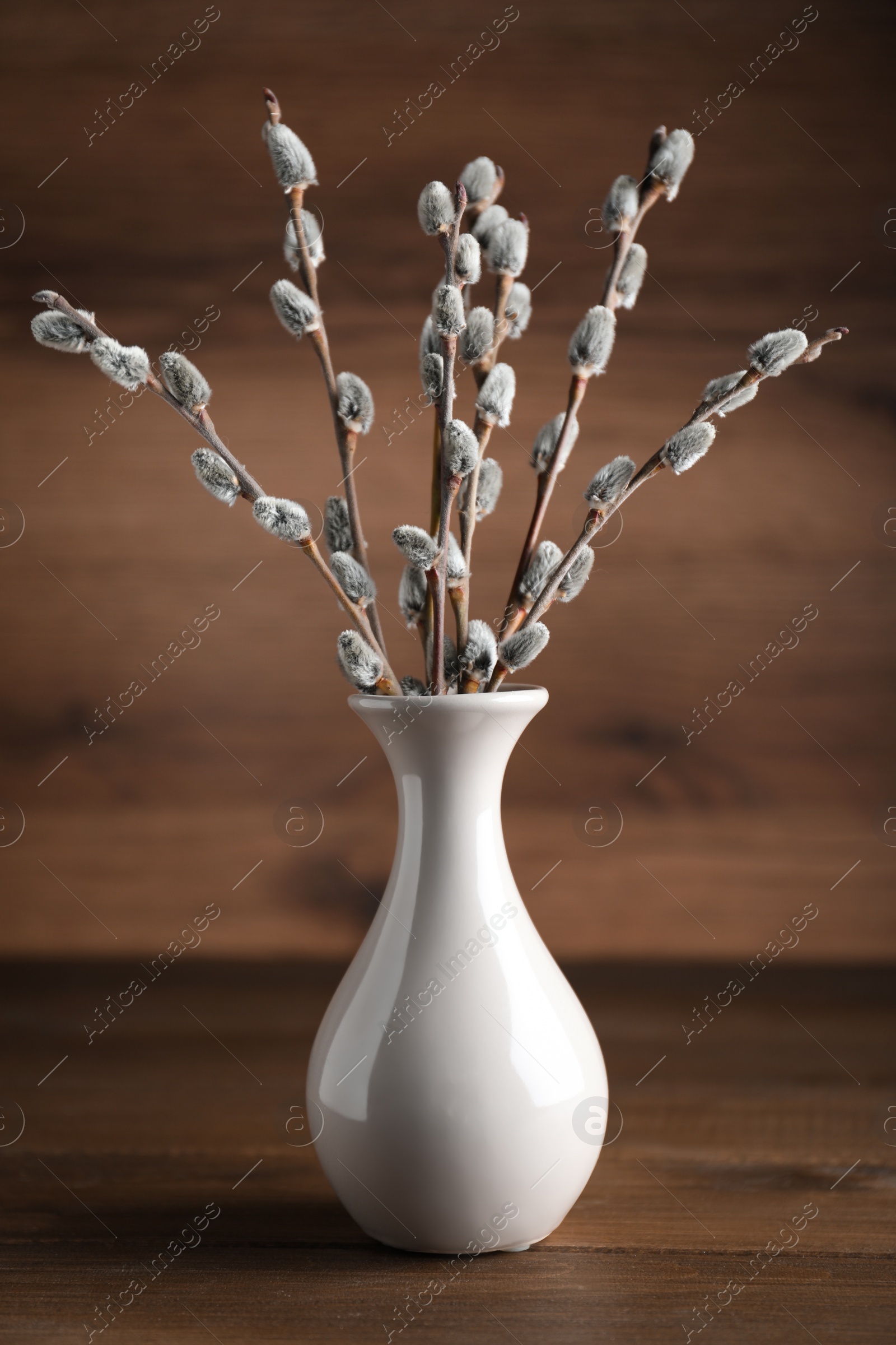 Photo of Beautiful bouquet of pussy willow branches in vase on wooden table