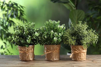 Different aromatic potted herbs on wooden table outdoors