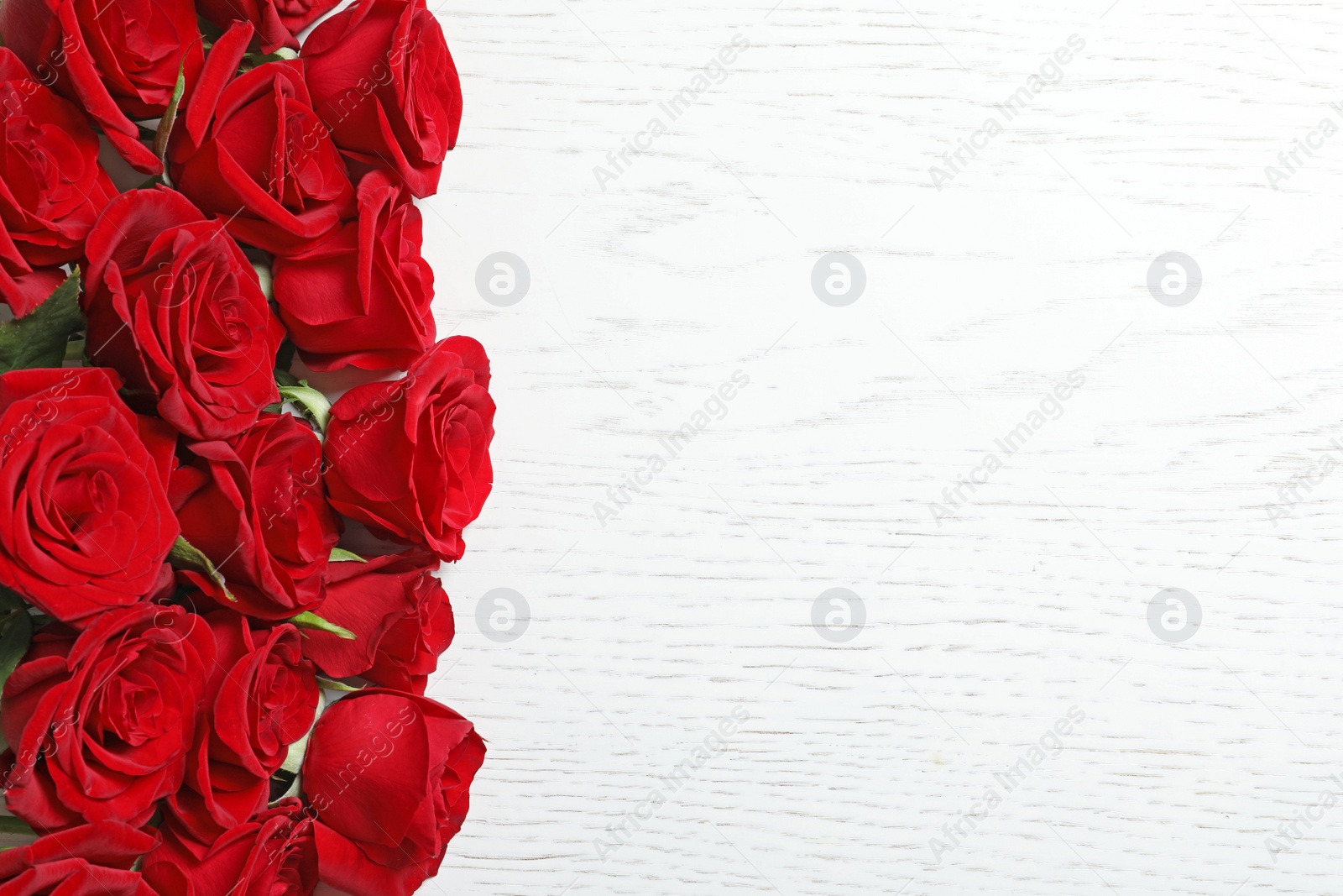 Photo of Beautiful red rose flowers on wooden background, top view