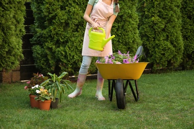 Photo of Young woman watering plants in garden, closeup