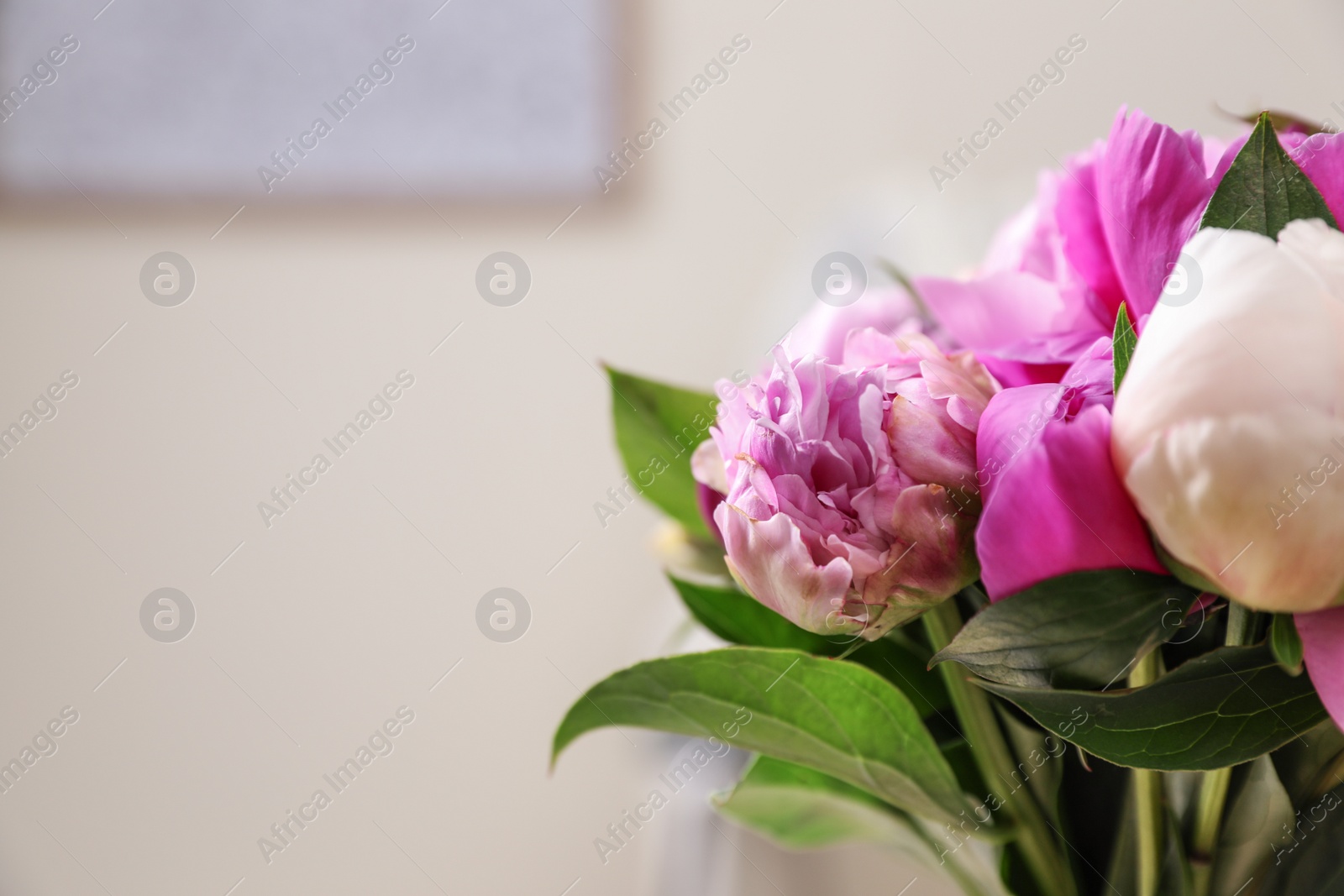 Photo of Bouquet of beautiful peonies in room, closeup. Space for text