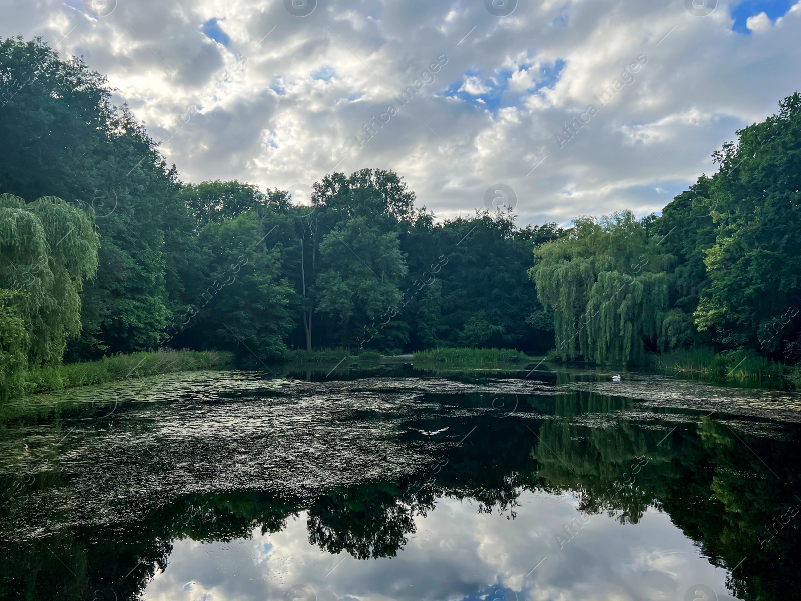 Photo of Picturesque view of green park with lake on cloudy day