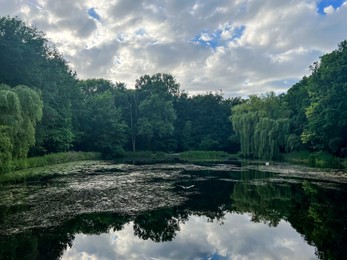 Picturesque view of green park with lake on cloudy day