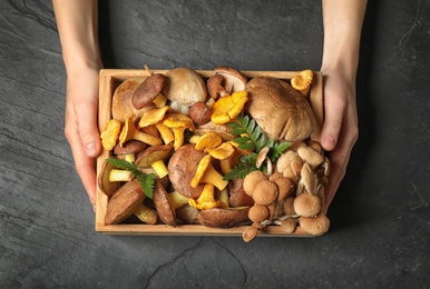 Photo of Top view of woman holding box with different wild mushrooms on grey background, closeup