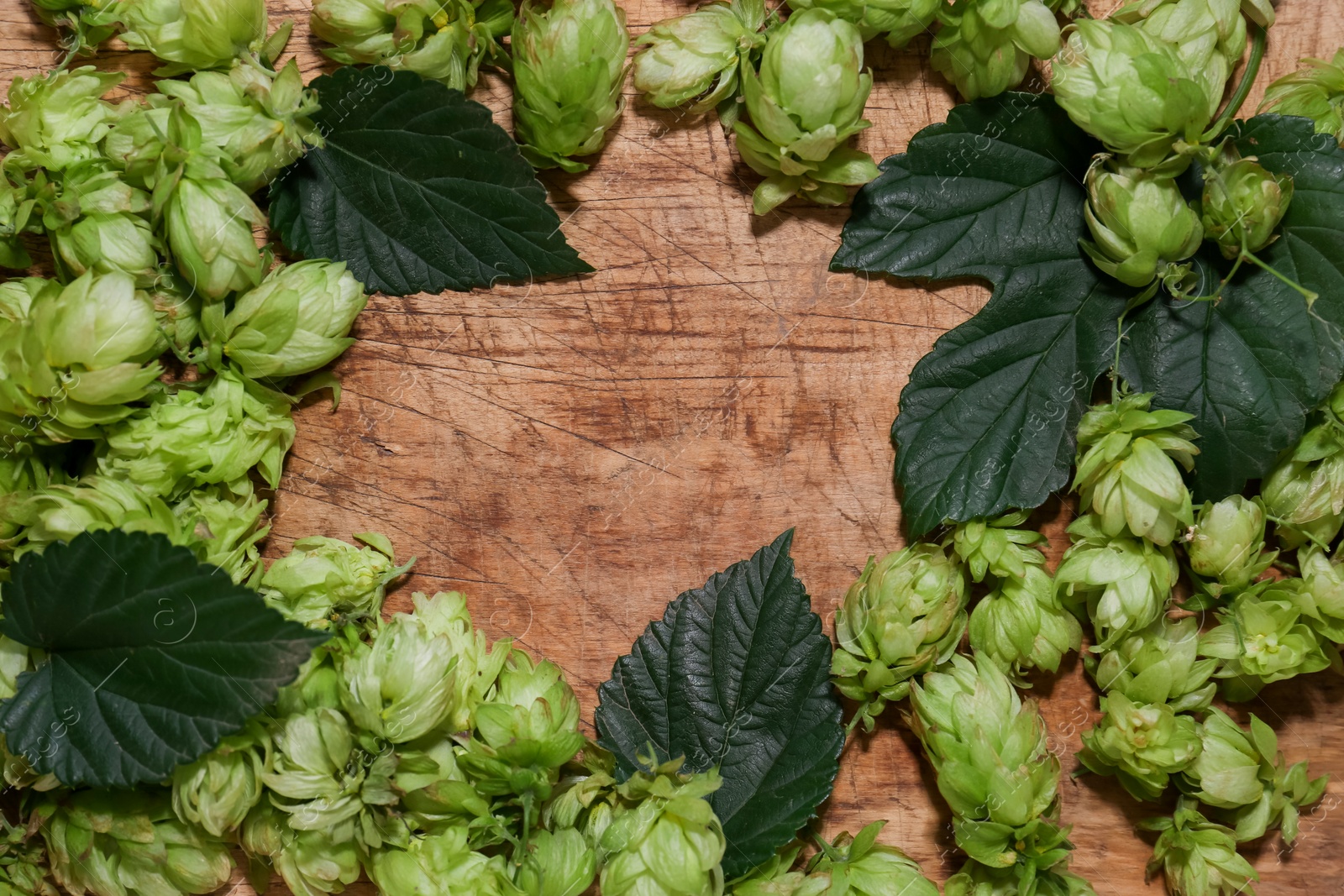 Photo of Frame of fresh green hops and leaves on wooden table, flat lay. Space for text