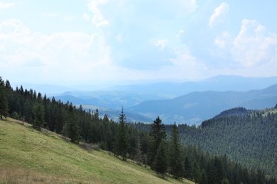 Beautiful landscape with forest and mountain slopes