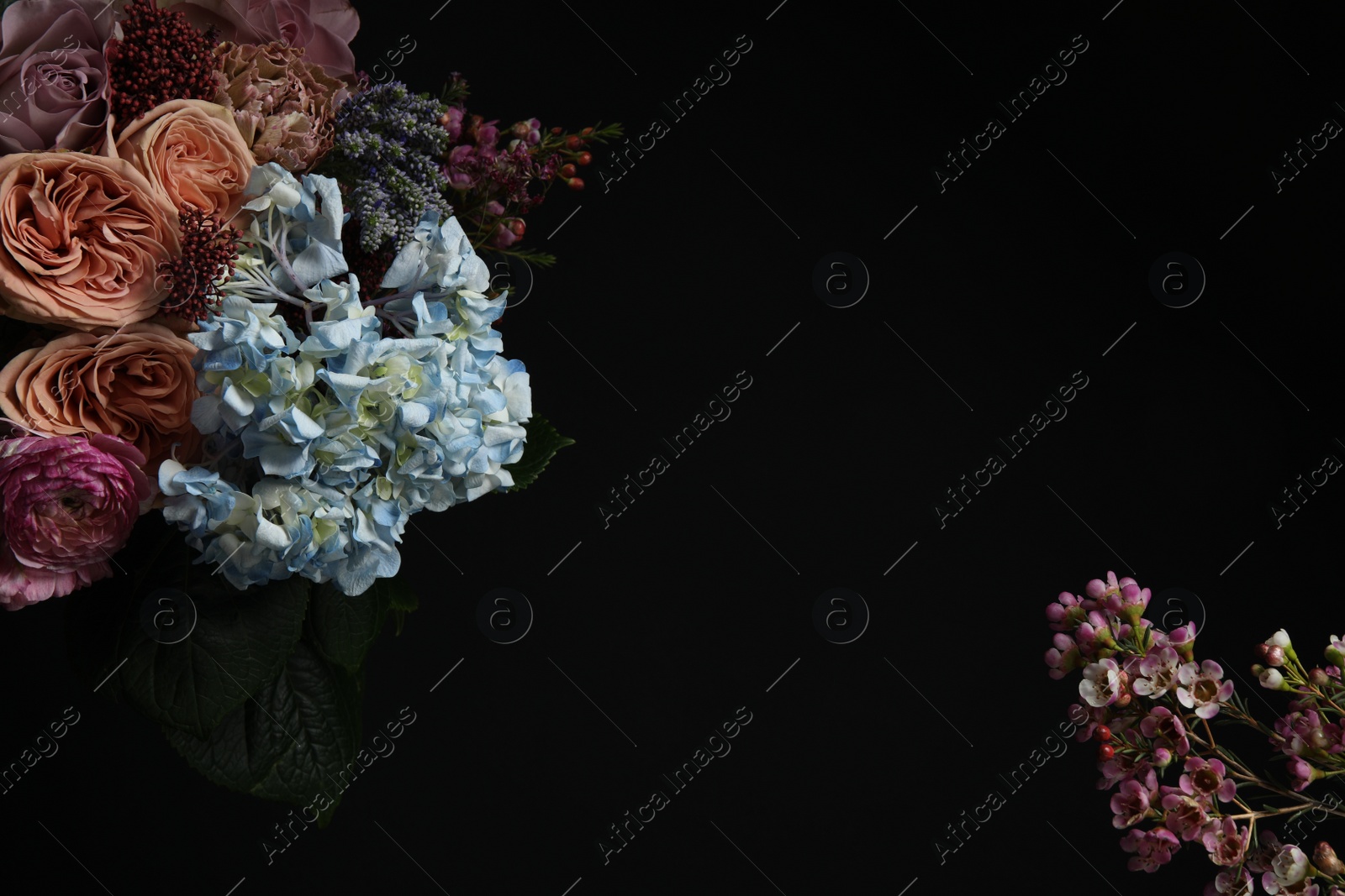 Photo of Beautiful fresh flowers on dark background, space for text