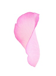 Photo of Tender pink rose petal isolated on white