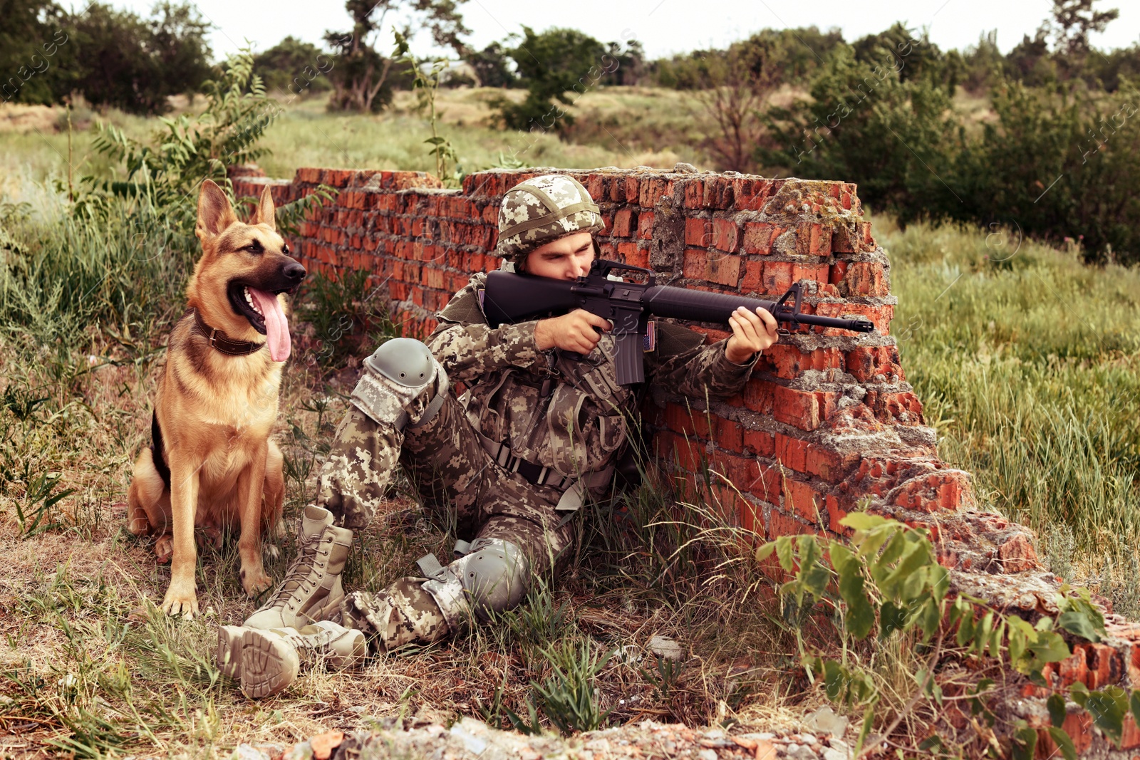 Image of Man in military uniform with German shepherd dog at firing range