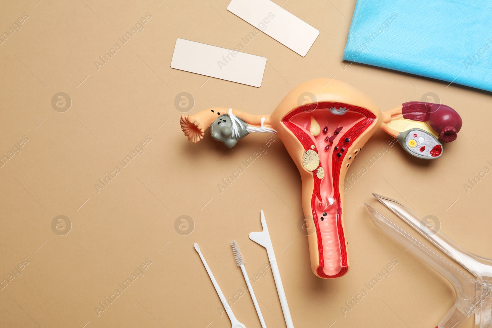 Photo of Model of female reproductive system and gynecological examination kit on light brown background, flat lay. Space for text