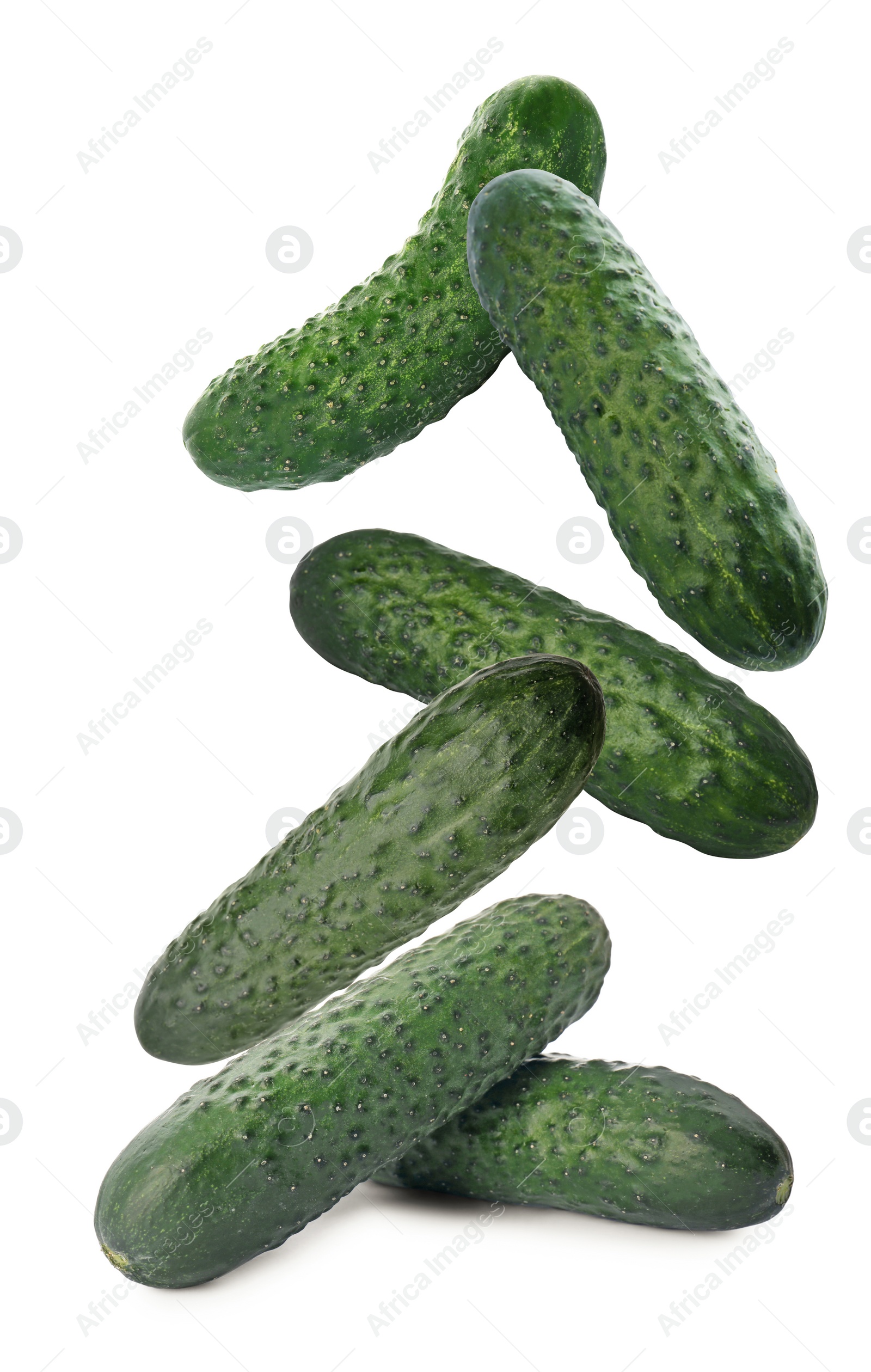 Image of Fresh green cucumbers falling on white background