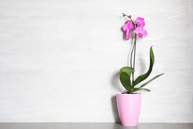 Photo of Beautiful tropical orchid flower in pot on table near color wall. Space for text