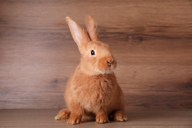 Photo of Cute bunny on table against wooden background. Easter symbol