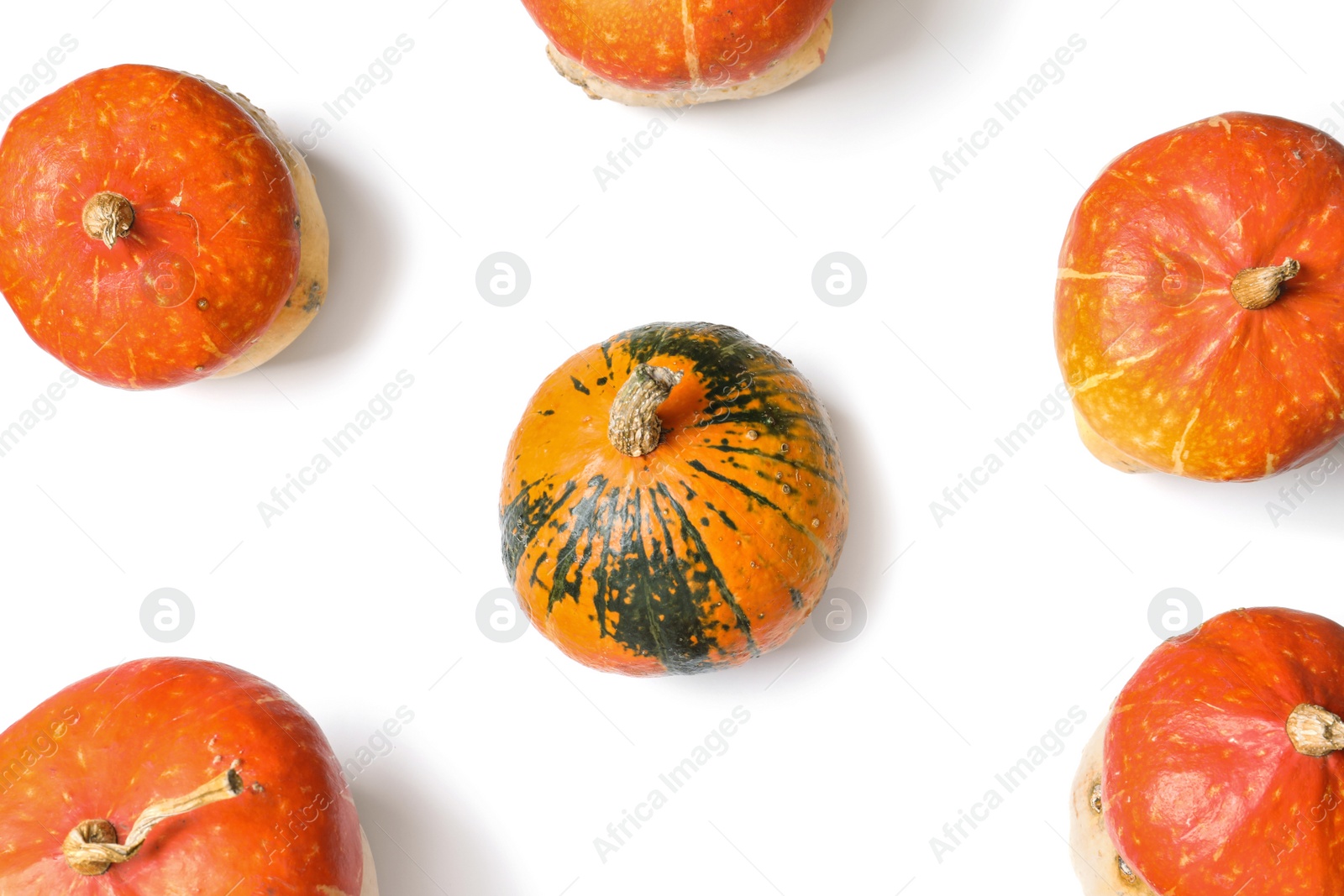 Photo of Flat lay composition with orange pumpkins on white background. Autumn holidays