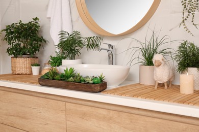 Counter with sink and many different houseplants near white marble wall